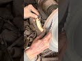 Blacksmith Iron Art | Forging Handmade Metal Masterpiece #forgedbyhand #blacksmithskill