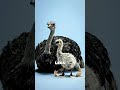 Replying to _Doom scrolling demi-god. What if you crossed an eagle with an ostrich_ _animals _whatif