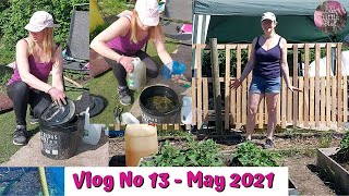 Allotment Vlog 13 - Stinky Nettle Tea and Protecting Brassicas