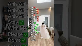 Heavenly Jumpstyle slowed hedgehog Dance