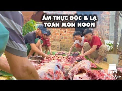 #1 ẨM THỰC SIÊU TO ĐỘC & LẠ TOÀN MÓN NGON CHỈ CÓ Ở TÂY NGUYÊN | Già Làng Tây Nguyên Mới Nhất