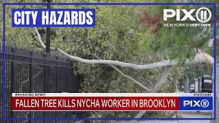 Download lagu NYCHA employee killed by falling tree in Brooklyn, s say