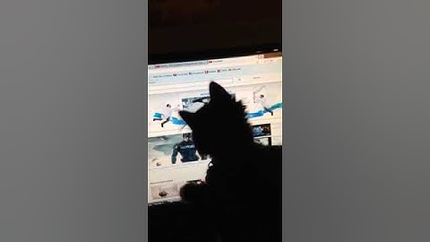 Cat Chasing Mouse on Screen