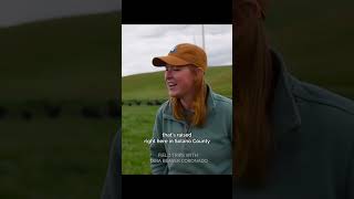 Hap's Taps sources local beef that is fed grain from a local brewery.