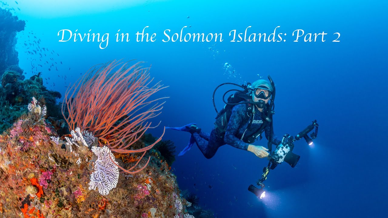 Diving Solomon Islands coral reefs with Drumbeat Sailing: Part 2