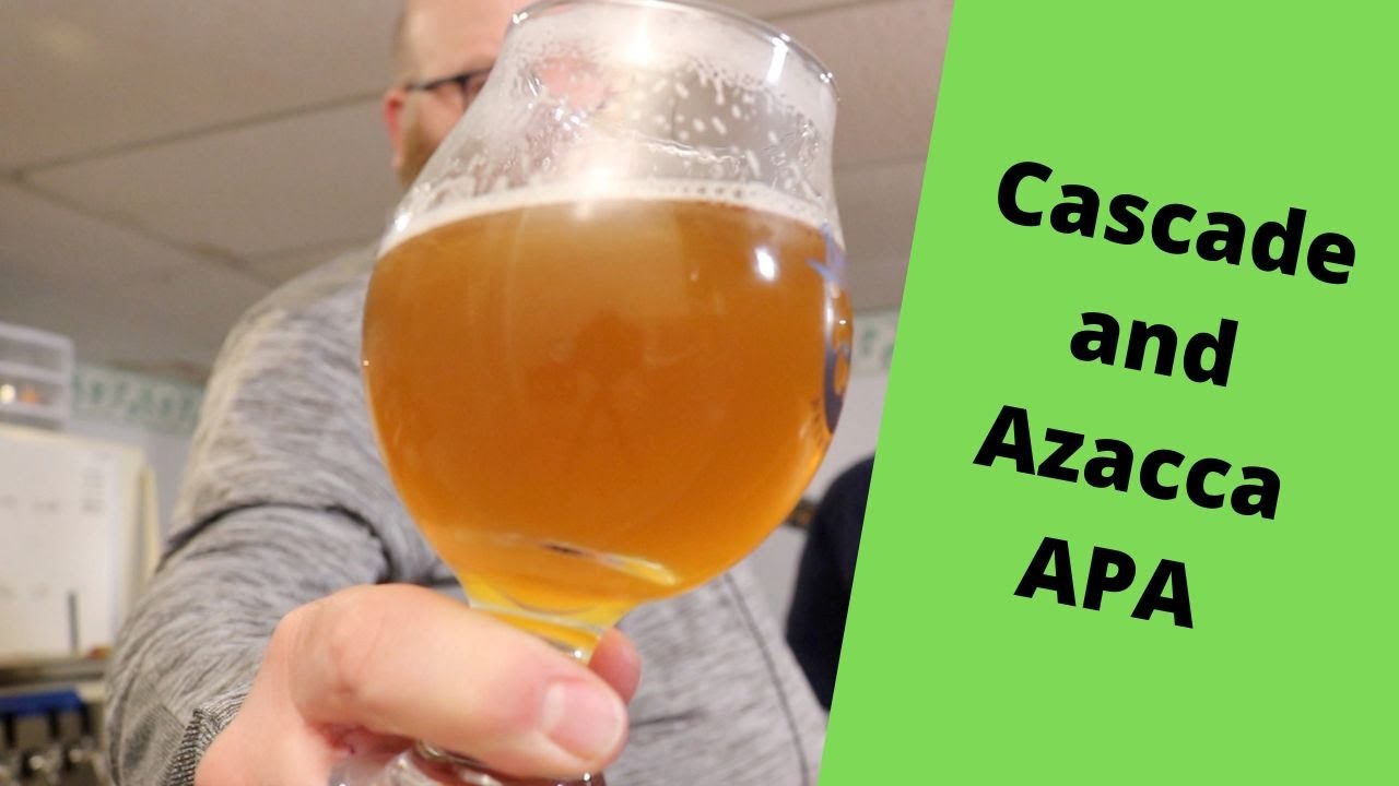 Cascade & Azacca American Pale Ale Brewed for Drinkability Brew Insight