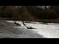 Agger Wasserfall in Troisdorf bei ankommenden Hochwasser ...