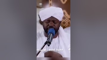 أيحسب الإنسان أن يترك سدى سورة [ القيامة: الايه  36] - القرآن الكريم