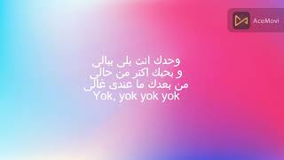 Yok Yok-Song by Ragıb Narin and Rima Yussef