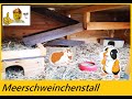 Meerschweinchenstall selber bauen