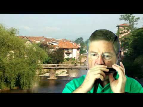 HARMONICA  " Celui qui a mal tourné " Georges BRASSENS