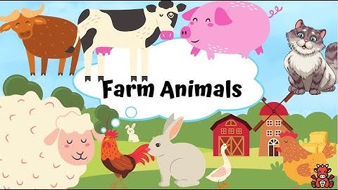 Farm Animals | Nhận biết động vật nuôi trong nông trại | Bé học tiếng Anh tên các Con vật nông trại