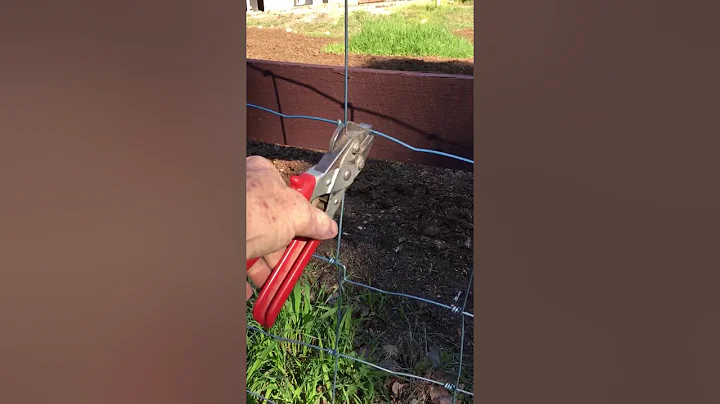 Bob The Fencer - straining mesh midway