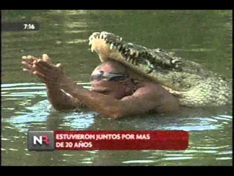 Murio el Lagarto Pocho - Cocodrilo crocodile Chito Costa Rica