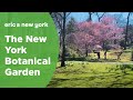 The new york botanical garden in the bronx  ericsnewyork