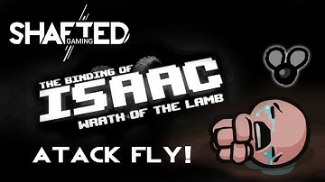 The Binding of Isaac: Wrath of the Lamb - ATTACK FLY!