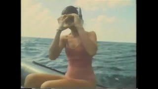Couple Snorkeling With Whales 1980S