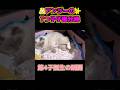 🥲💓第4子子猫誕生の瞬間【アンジーの子猫出産】#ラグドール #子猫 #猫の出産