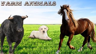 Farm Animals Song - Sound Effects | Farm Animal Sounds 🐴 FARM ANIMALS TV screenshot 3