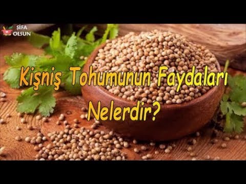 Video: Kişniş Tohumu Ile Guacamole