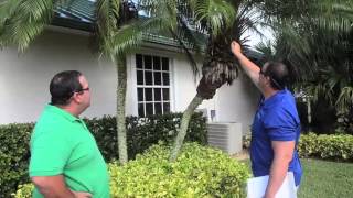 Creative Pest Management | Vero Beach, FL | Eco-Friendly Exterminators