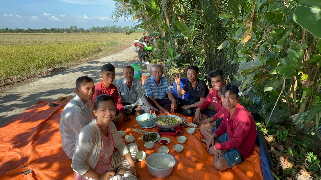 Bắt Lươn , Bắt Chuột .. Theo máy cắt bắt Chuột mùa gặt lúa ở cánh đồng Phú Tậm VXĐ 1099 