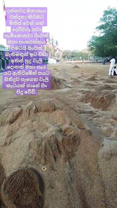 වැලි කැටයක මෙච්චර පිනක්😳🤔🙏So much merit in a grain of sand😳🤔🙏 #ruwanweliseya #trending #shortsvideo🤔