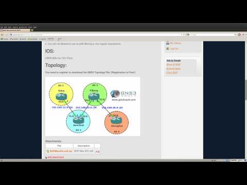 BGP Max AS