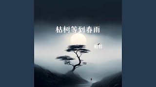 枯树等到春雨