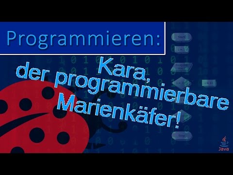 Programmieren mit Kara! Beispielprogramme und Erklärungen für Einsteiger