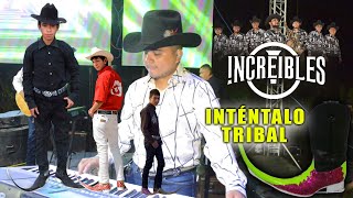 Video thumbnail of "INTÉNTALO (TRIBAL) GRUPO INCREIBLES"