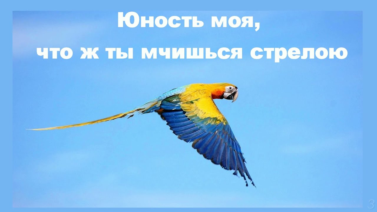Юность моя, что ж ты мчишься стрелою - Старые Христианские песни - YouTube