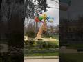Only in Paris #shorts #short #shortvideo #france #paris #marshmallow