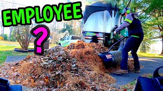 HOW TO DO A FALL CLEAN UP | CAN THE BILLY GOAT HANDLE PINE NEEDLES!