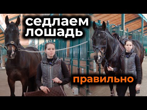 Видео: Как позаботиться о бабочке: 7 шагов (с иллюстрациями)