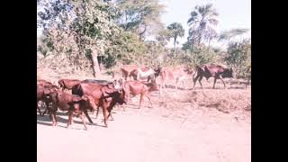 WALAGA LUKWAJA UJUMBE WA MANYAGU 2023