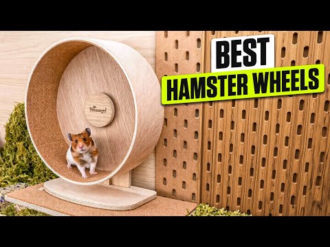 3 BEST Silent Hamster Wheels