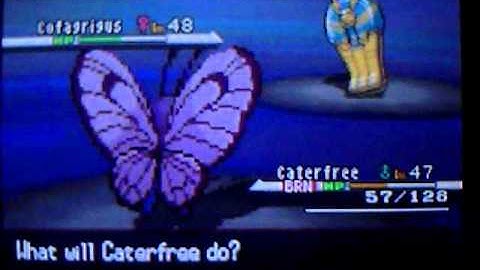 Pokemon Black mono bug type run part 23 Shauntal