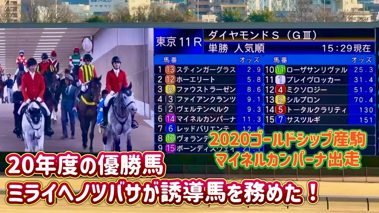 🏇ダイヤモンドステークス2026｜G３｜＃マイネルカンパーナ｜＃ミライヘノツバサ|2026・2・21