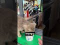МАЛЕНЬКИЙ ПОСТУПОК, БОЛЬШОЙ СМЫСЛ