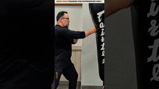 What If Wing Chun Actually Made Sense?