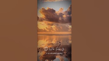 في جنة عالية لا تسمع فيها لاغيه.. القارئ: عبد الرحمن مسعد... تفاعلكم لكل جديد بلمتابعه ➕ ولايك 👍🏻..