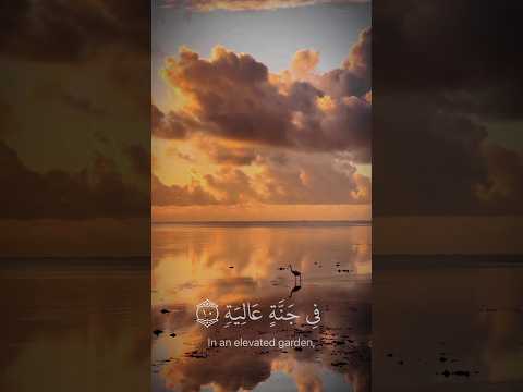 في جنة عالية لا تسمع فيها لاغيه القارئ عبد الرحمن مسعد تفاعلكم لكل جديد بلمتابعه ولايك