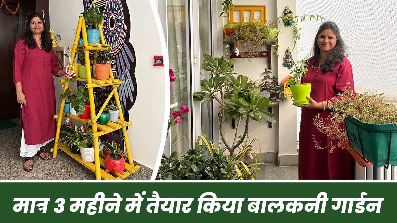 मात्र 3 महीने में तैयार किया सुंदर बालकनी गार्डन 😱🪴 Special Video for Beginners 🥰 Garden Tour