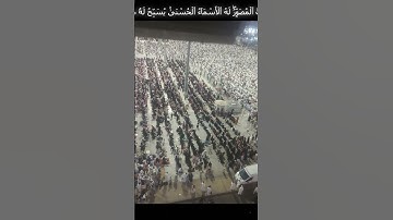 ايات من سورة الحشر -هُوَ ٱللَّهُ ٱلۡخَٰلِقُ ٱلۡبَارِئُ ٱلۡمُصَوِّرُۖ لَهُ ٱلۡأَسۡمَآءُ ٱلۡحُسۡنَىٰۚ