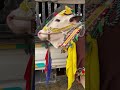 #food #desigupshup #emergingtechnologies #beautyofvillagelife