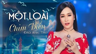 LIÊN KHÚC MỘT LOÀI CHIM BIỂN - Đào Anh Thư - OFFICIAL MV
