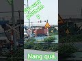 Review.doạn đuòng đỗ náng nhất trong ngày.câuvuot.
