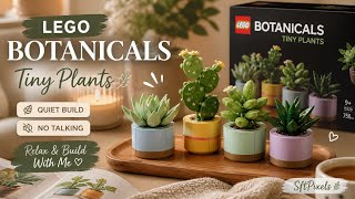 LEGO Botanicals Tiny Plants 🌿 | Calm Building + Cozy Silent Vlog (No Talking)
