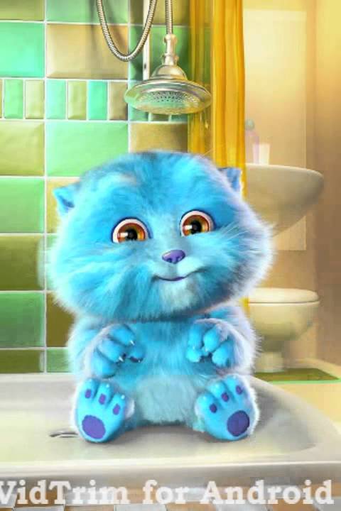 download talking ginger cat download talking ginger cat